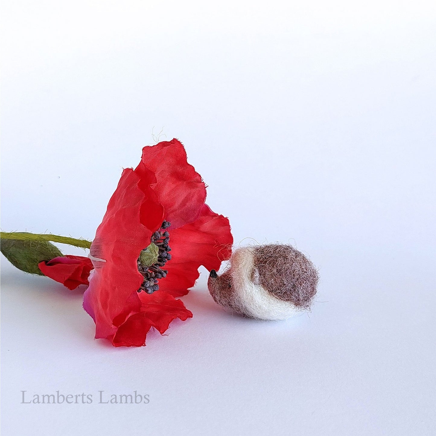 Miniature Needle felted Hedgehog, Felted Hedgehog