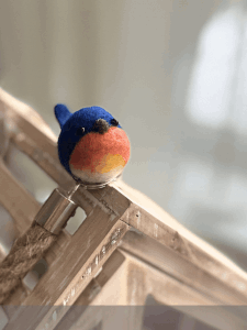 you can do it blue bird