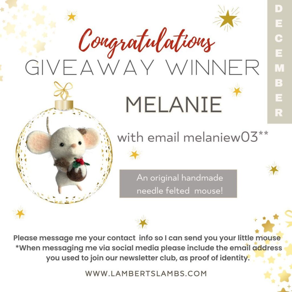 December's GiveAway Winner! 469588149 554554994099523 3523326028835087688 n