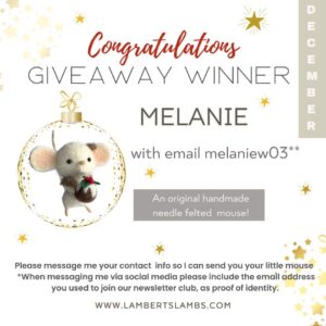 December's GiveAway Winner! 469588149 554554994099523 3523326028835087688 n