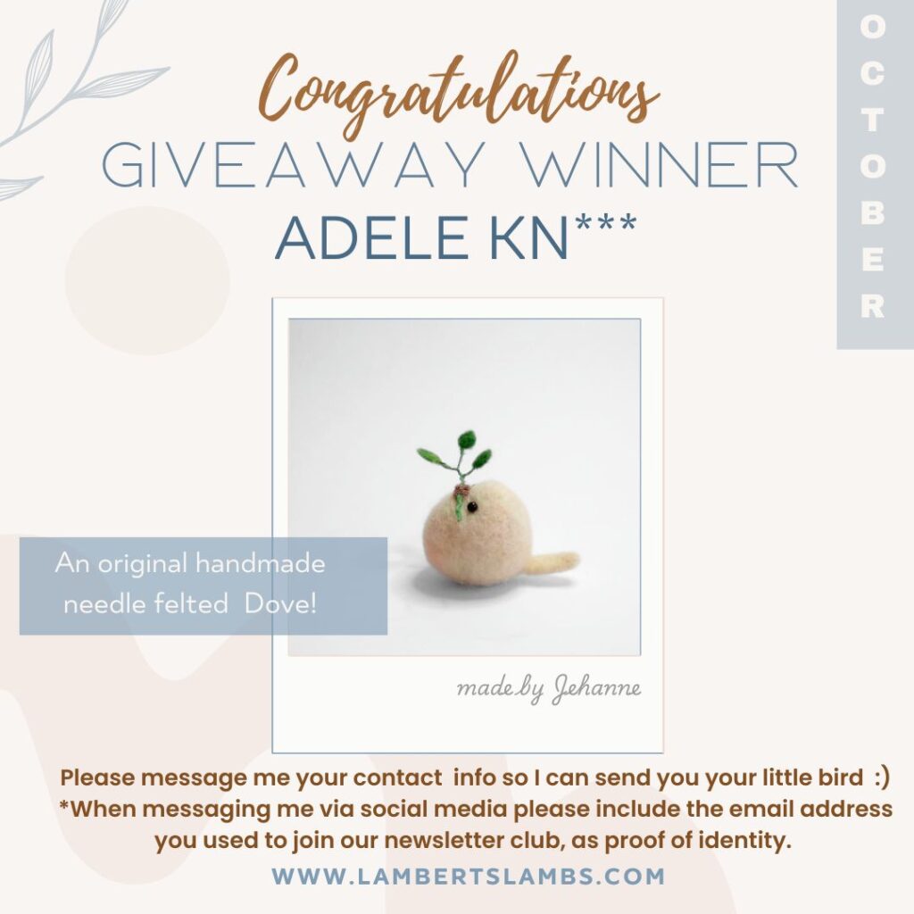 October GiveAway Winner!!! instagram giveaway winner october post