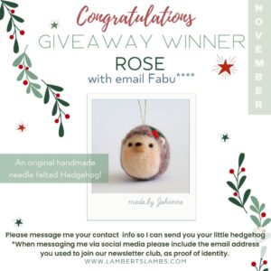 November GiveAway Winner!!! instagram giveaway winner novemebrer 2024post