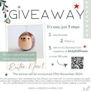 November GiveAway!!! instagram giveaway post november