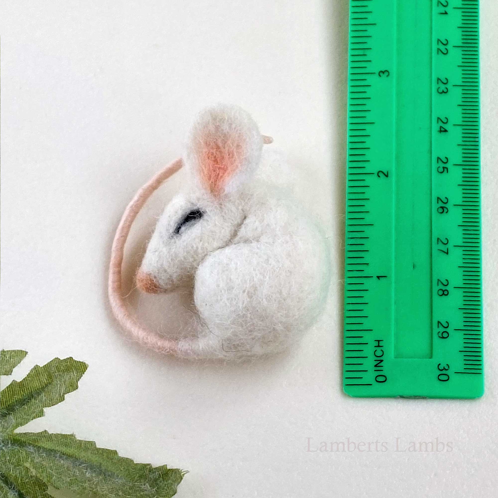 mouseinbox1 2 mouseinbox1 2